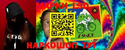 дмт Донской
