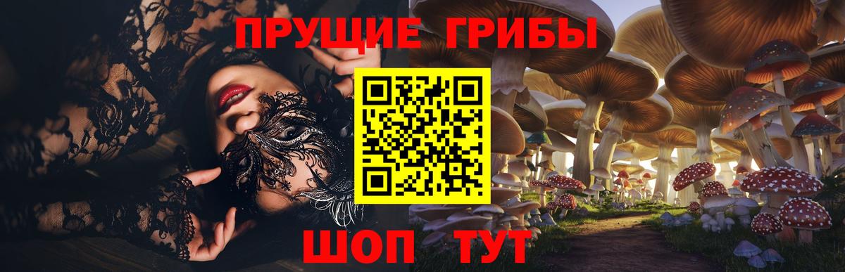 Псилоцибиновые грибы GOLDEN TEACHER  сколько стоит  Миасс  Вход с VPN 