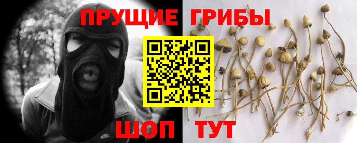 Галлюциногенные грибы MAGIC MUSHROOMS Миасс